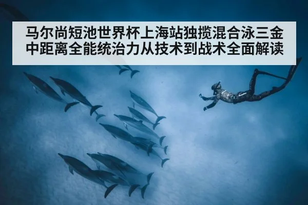 马尔尚短池世界杯上海站独揽混合泳三金 中距离全能统治力从技术到战术全面解读
