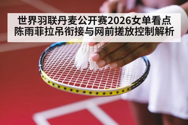 badminton net shot close up